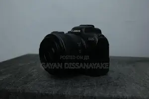 Canon EOS R6 Mirrorless Camera