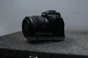 Canon EOS R6 Mirrorless Camera