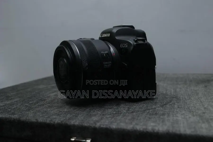 Canon EOS R6 Mirrorless Camera