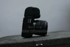 Canon EOS R6 Mirrorless Camera
