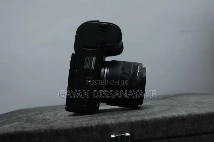 Canon EOS R6 Mirrorless Camera