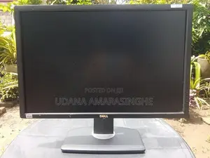 DELL 24 Inch IPS Monitor