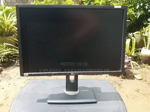 DELL 24 Inch IPS Monitor