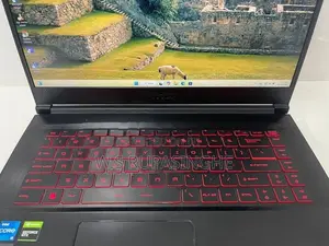 MSI i5 11th Gen Laptop