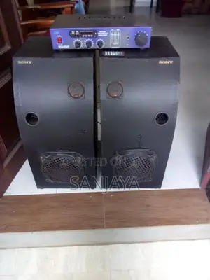 Two Buffels With 100W Stereo Amp