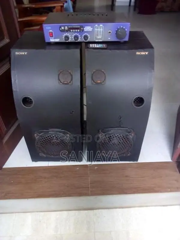 Two Buffels With 100W Stereo Amp