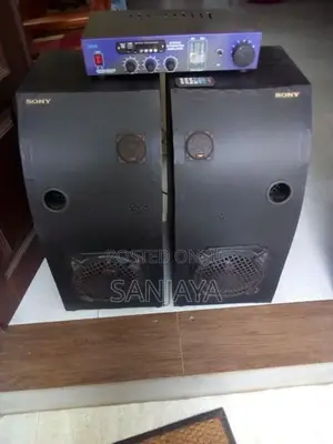 Two Buffels With 100W Stereo Amp