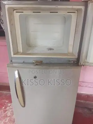 Singer Fridge