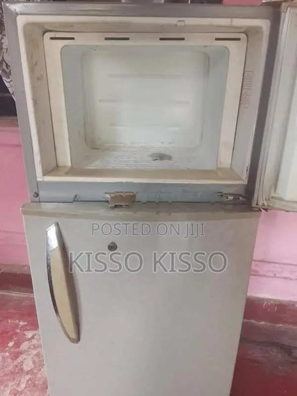 Singer Fridge