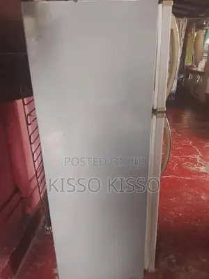 Singer Fridge