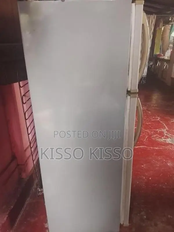 Singer Fridge