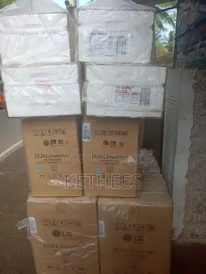 LG 24000 BTU Dual Inverter AC