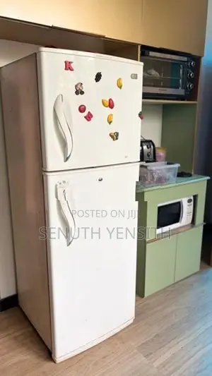 LG 250L Ice Beam Double Door Refrigerator
