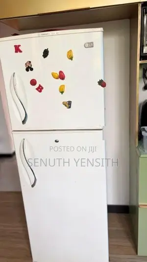 LG 250L Ice Beam Double Door Refrigerator