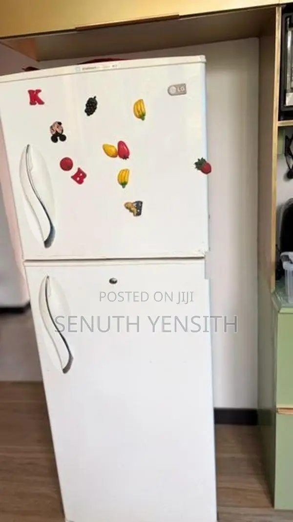 LG 250L Ice Beam Double Door Refrigerator