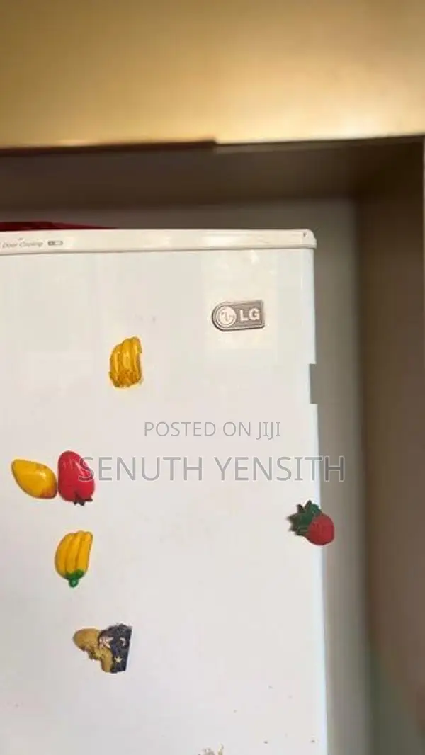 LG 250L Ice Beam Double Door Refrigerator
