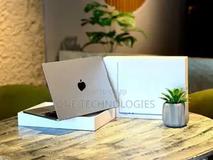 Apple MacBook Air M4 (13 inch)