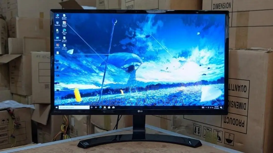 24 Wide IPS LG Monitor