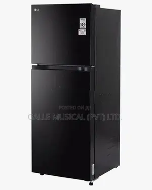 LG 225L Smart Inverter Double Door Refrigerator - Onyx Black