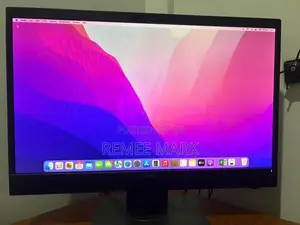 Dell 24” IPS Monitor