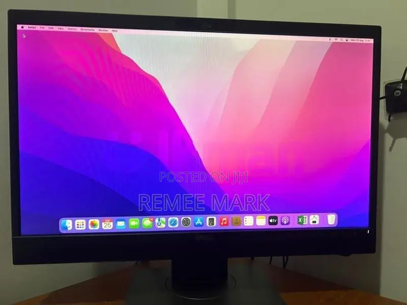 Dell 24” IPS Monitor