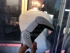 Sony Ps5 Controller