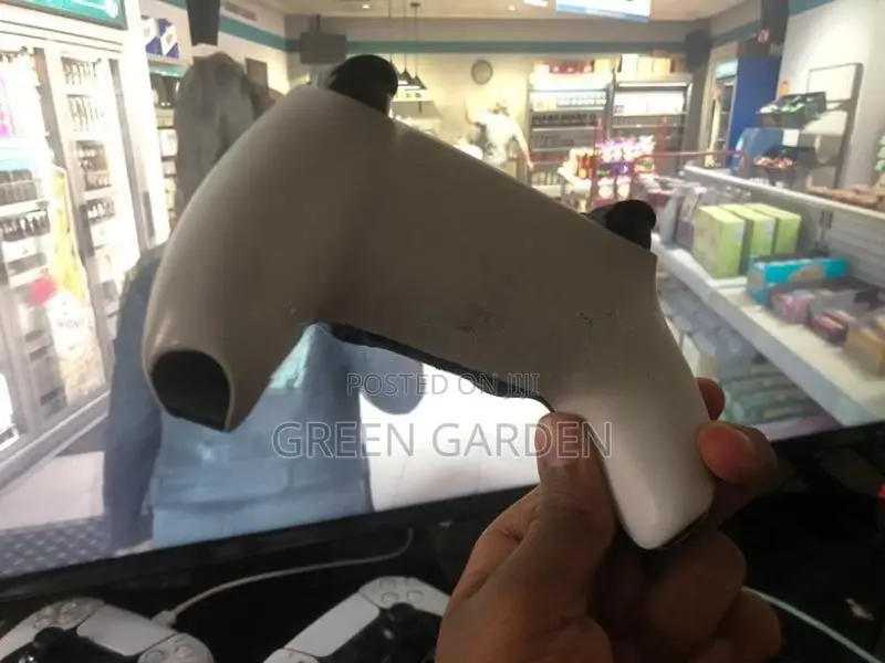 Sony Ps5 Controller