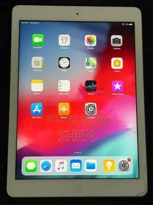 Apple iPad Air 1