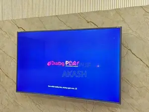 Singer 55 4K UHD TV Sale