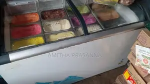 SISIL Disply Freezer