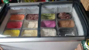 SISIL Disply Freezer