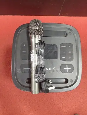 Singer Party Box