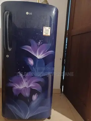 Refrigerator Single Door