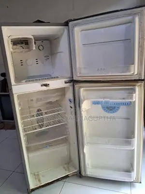 LG Express Cool Fridge
