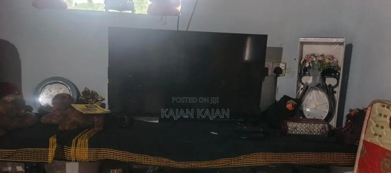 Singer TV