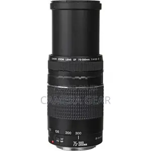 Canon EF 75-300mm f/4-5.6 III Lens