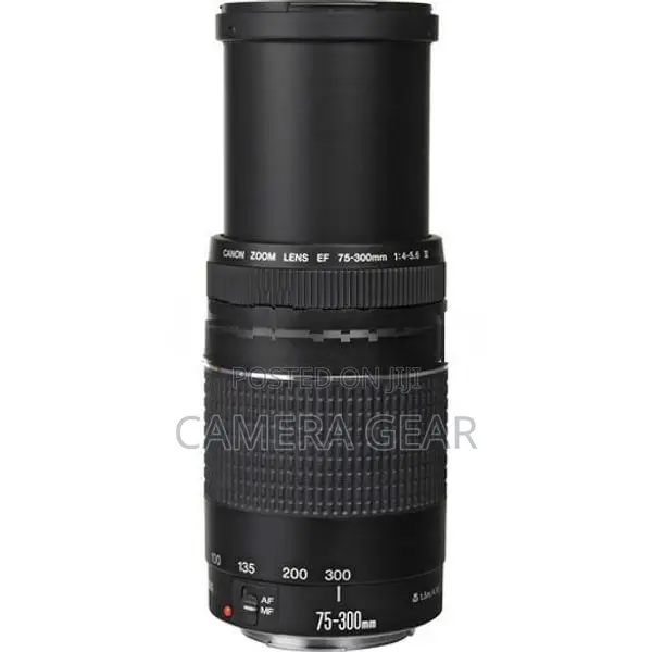 Canon EF 75-300mm f/4-5.6 III Lens