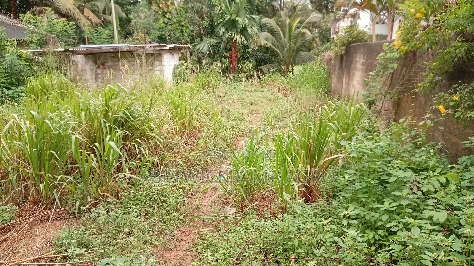 Land for Sale in Galle - 18 Perch