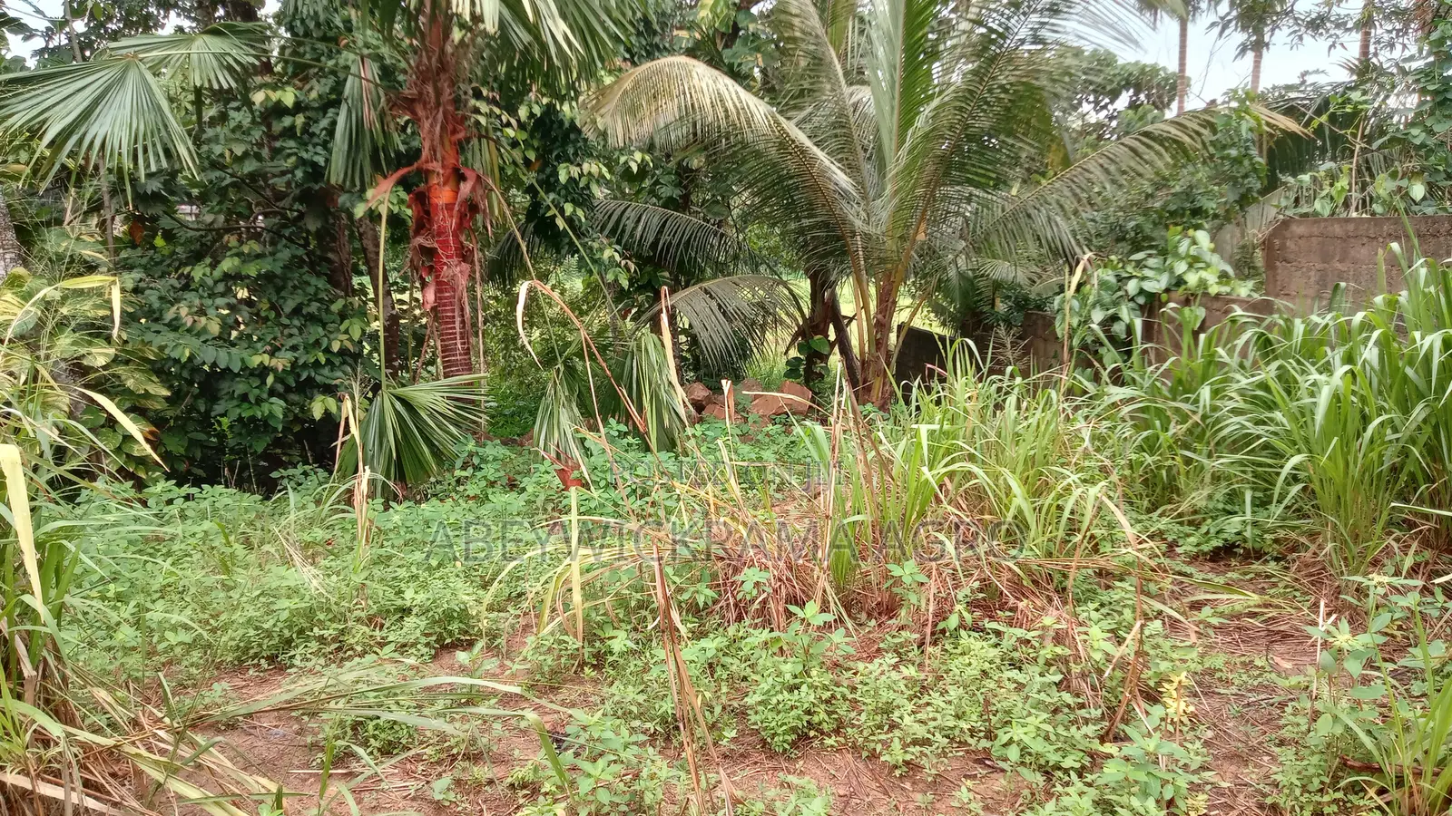 Land for Sale in Galle - 18 Perch