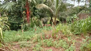 Land for Sale in Galle - 18 Perch