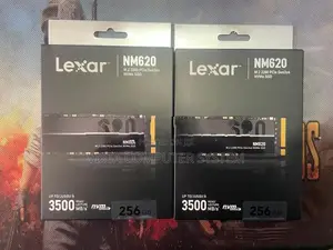 256GB LEXAR NVME