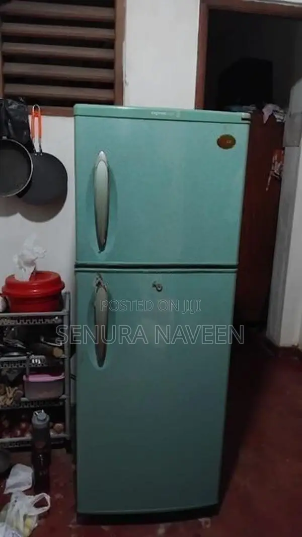 LG Double Door Fridge