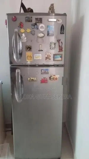 LG 2 Door 277L Cooling