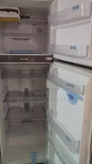 LG 2 Door 277L Cooling