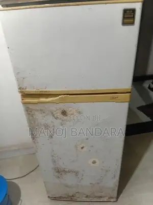 Fridge