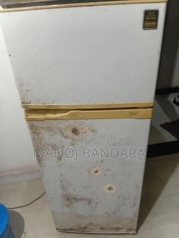 Fridge