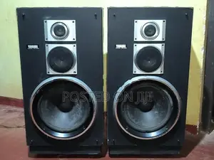 Yamaha 12 inch Speakers