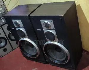 Yamaha 12 inch Speakers