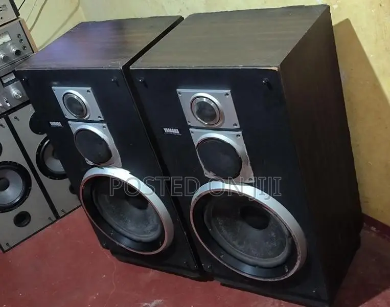 Yamaha 12 inch Speakers