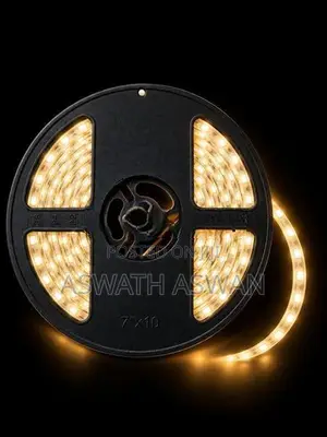 IP65 Waterproof 5M Led Strip -24V